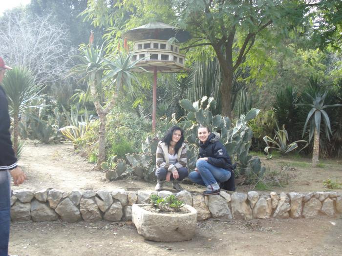 Picture 389; Nicosia de Sud
