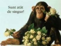 small_1079126216dragoste89[1]