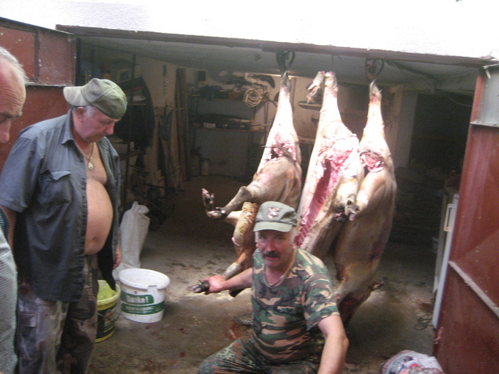 IMG_4208 - 2009-2010 Stolna Cluj