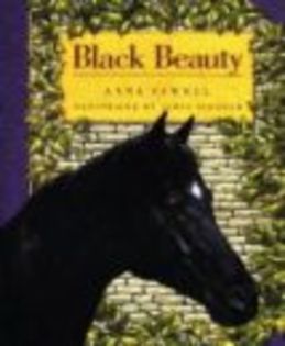 black beauty - CARE SUNT CAII VOSTRI PREFERATI