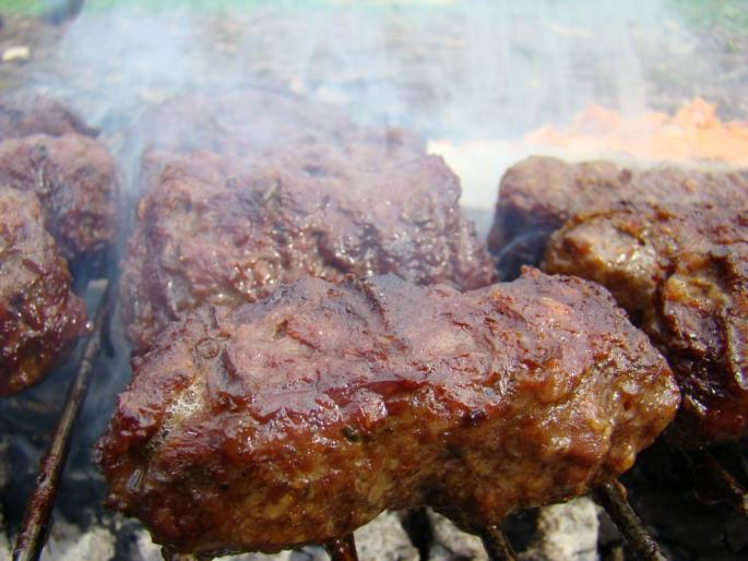 DSC02696 - 2008-03-22 - La padure-Baneasa