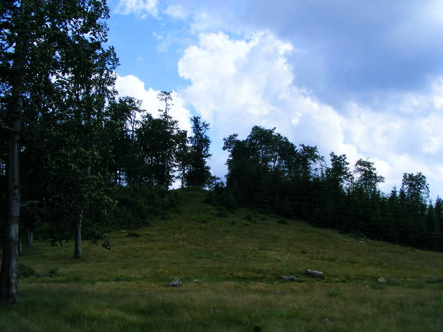 DSCF3292 - Suior Poiana Mlejnita Varful Secatura Creasta Cocosului  din Muntii Guta