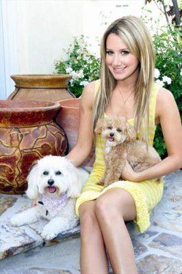 normal_003 - Ashley Tisdale