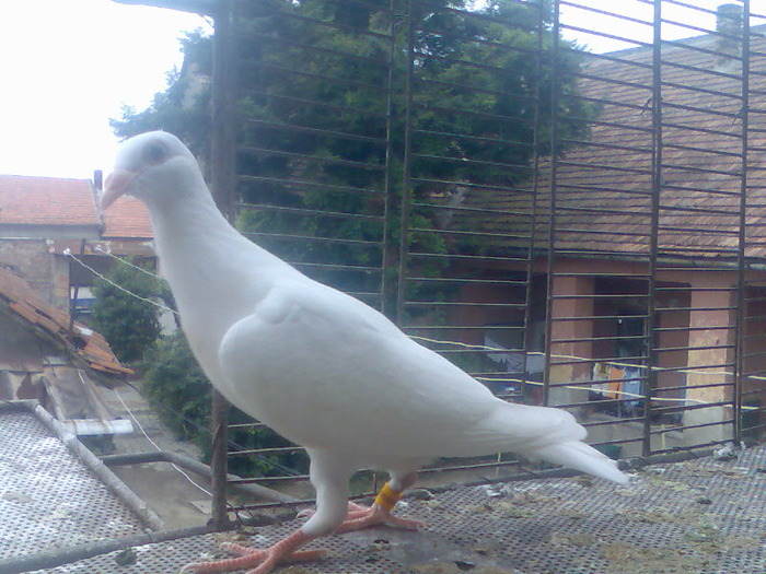 Imag078