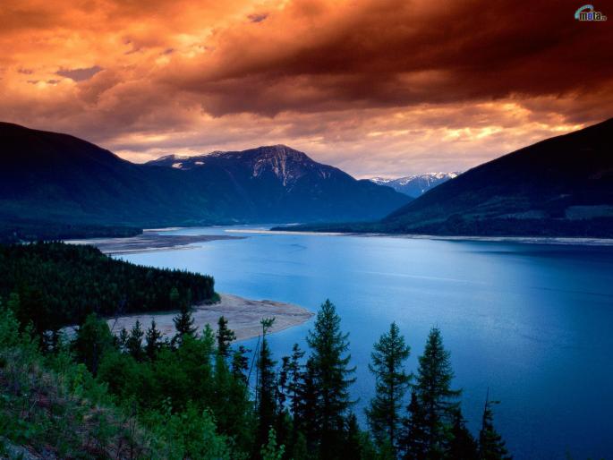 nature_613