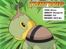 ij8k9 - turtwig