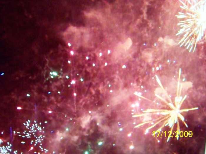 100_7092 - 1 Decembrie Timisoara