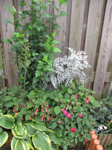 gr.sp. 7 aug 2009 (1)