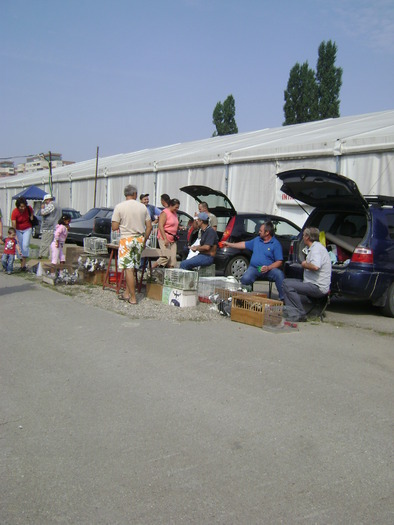 DSC07333 - Targ de vara Cluj 23 08 2009