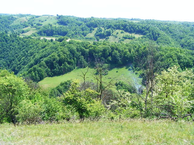 DSCF0546