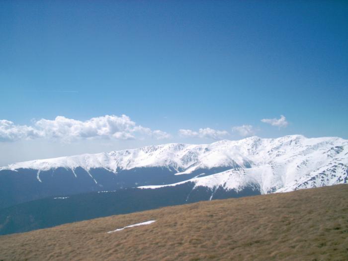 04130042 - Iezer-Papusa