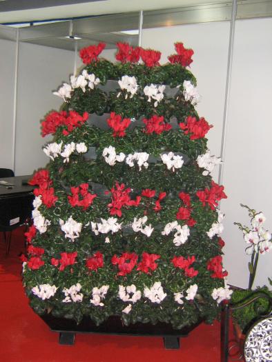 aranjament floral - Indagra  2008