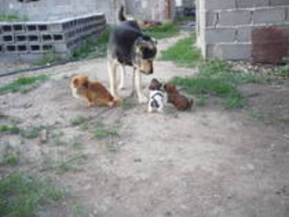 GLNAOCPASVUFDEVMXKW - hcgah