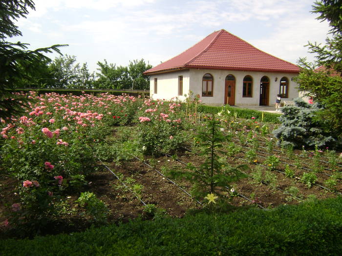  - EXCURSIE  in DELTA