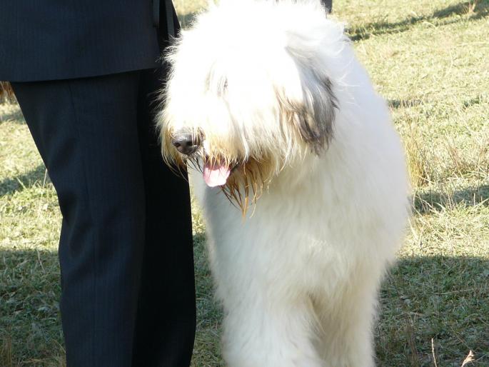 campionat brasov 005; Balan  D'Muresan
