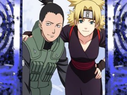 shikatema - concurs 5