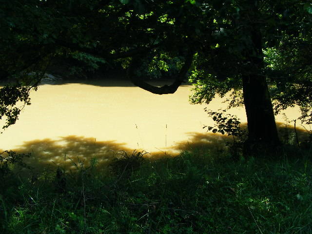 DSCF2649