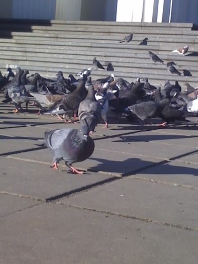 In fata Catedralei la Chisinau2