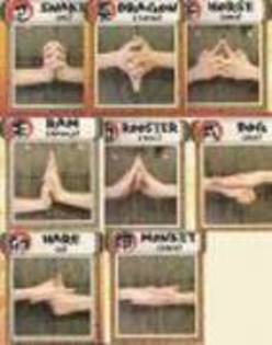 2443671[1] - imagini naruto