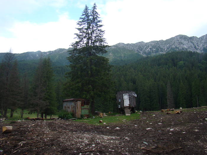 DSC03876 - Concediu 2009