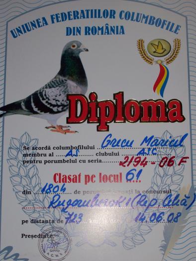 100_6132 - rezultate