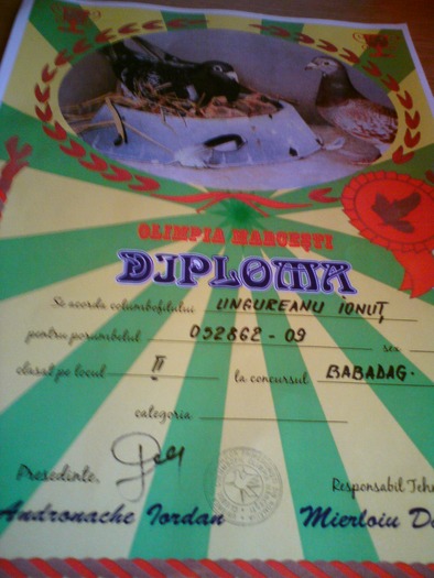 DSC00022 - cupe si diplome