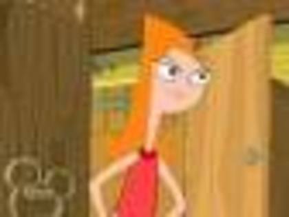 3 - Phineas si Ferb