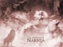 14 - narnia