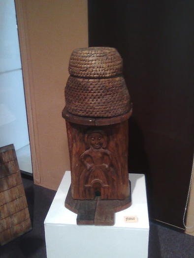 Imagine1144 - ApiMondia