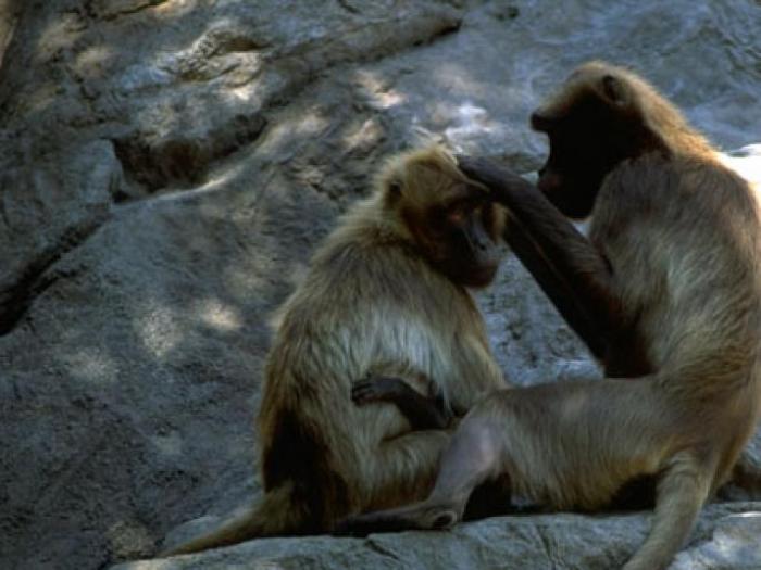 MRKQZUONJPNQFKIXAPN[1]