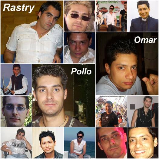 rastry pollo omar