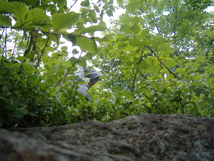 DSCF6029