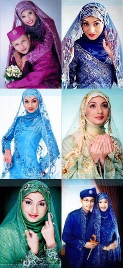 beautiful hijabi (52)