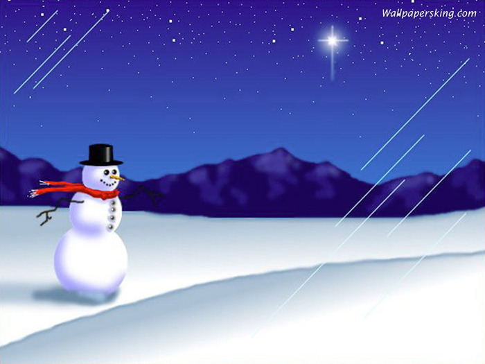 Christmas Wallpapers (270)