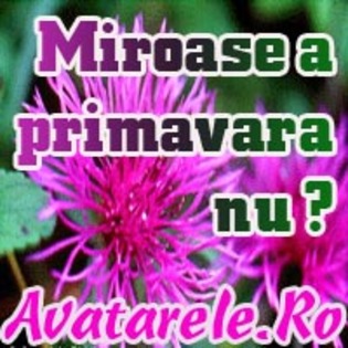 8 - poze avatar primavara