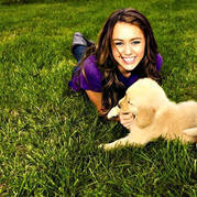 XSUSMPEQSEYIAKNSXDG - Miley si cateii ei