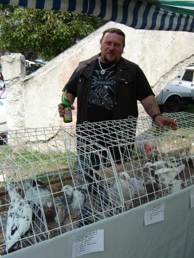 MY PIGEONS, MEINE TAUBEN, MIS PALOMAS, IL MIO COLOMBES, - Expo Agraria 2006 Alba Iulia