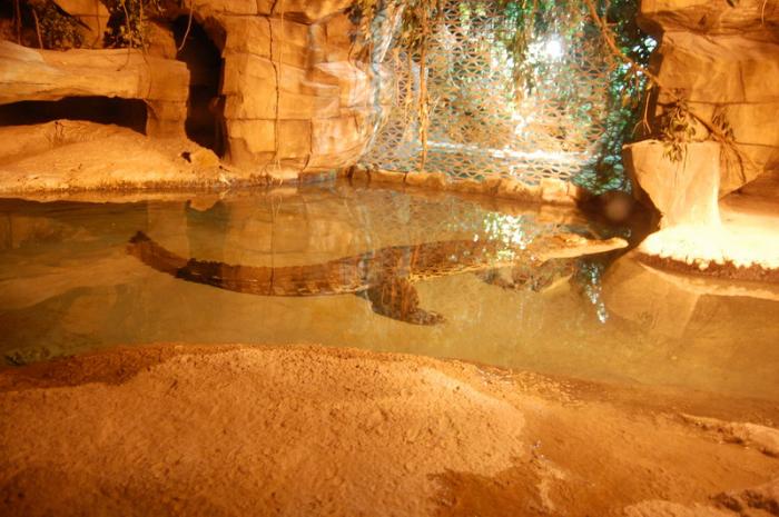 DSC_0123 - zoo amneville