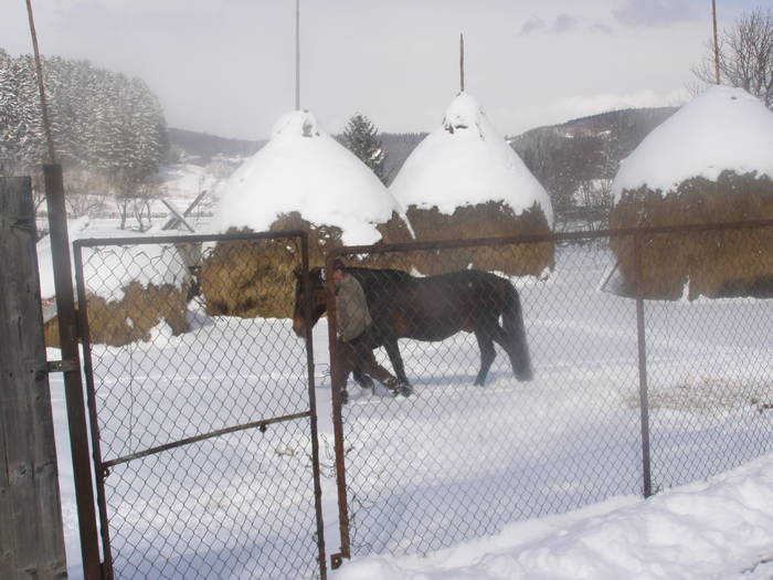 120 - Ab22 - NOU PIATRA CRAIULUI FEBR 2009