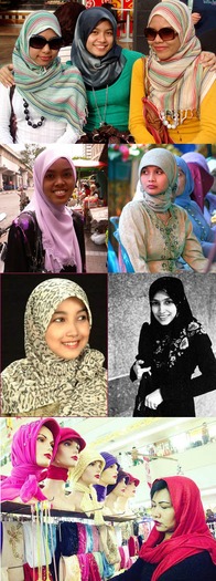 beautiful hijabi (71)