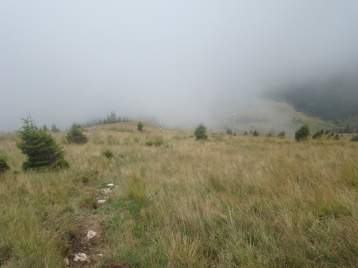 DSC04138 - Piatra Craiului August 2009 Valea Crapaturii