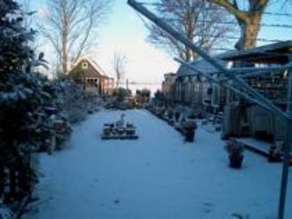 MSKKOHSCSDABVBFGNYK - MODELE DE CRESCATORII