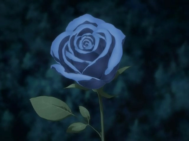phantoms-blue-rose - Trandafiri albastri