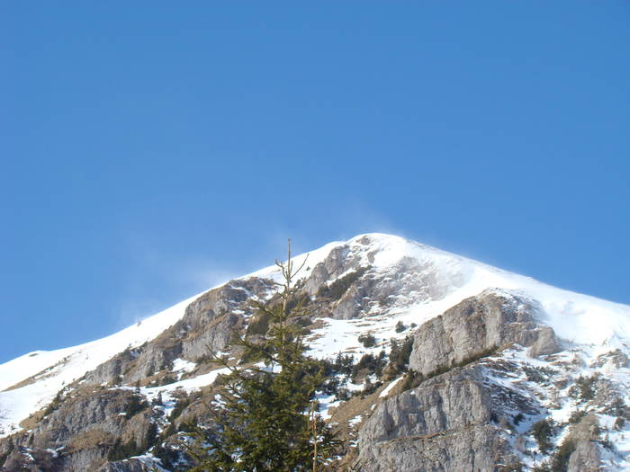 DSC01121 - Bucegi - Valea Izvorul Dorului-Padina