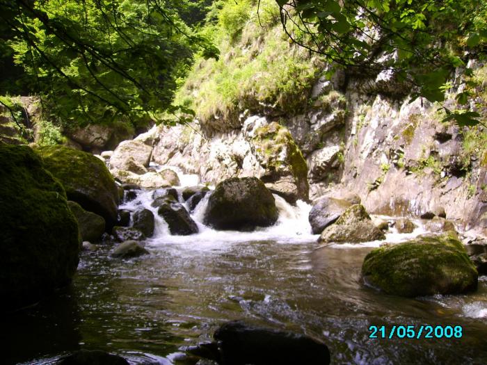 IMG_3120; Cascada de la Clean%u0163ul %u015Eoimului
