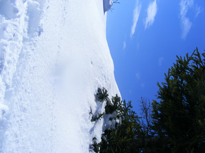 DSCF6933