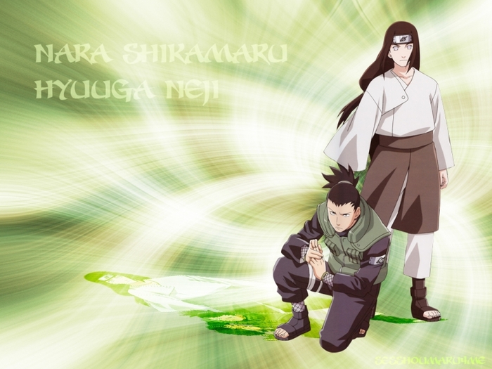 shikamaru-and-neji - poze