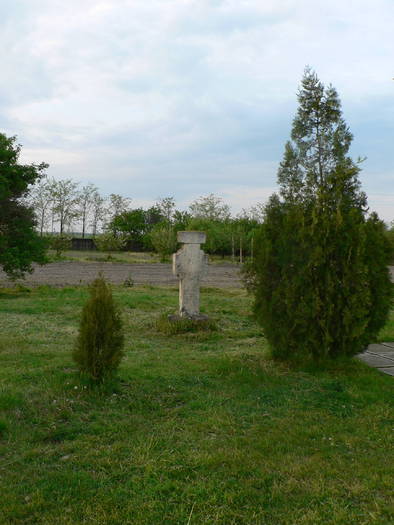 P1040955