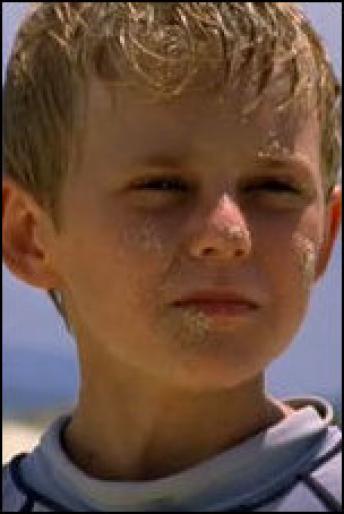 4522378591a6378016056l