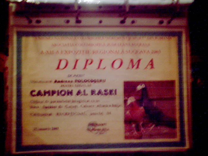 Diploma Carrier - cupe si diplome